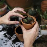 Landscaping Management