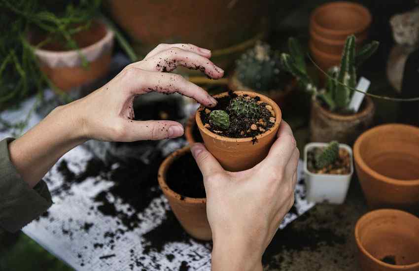 Landscaping Management