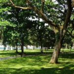 Municipal Corporation Featured